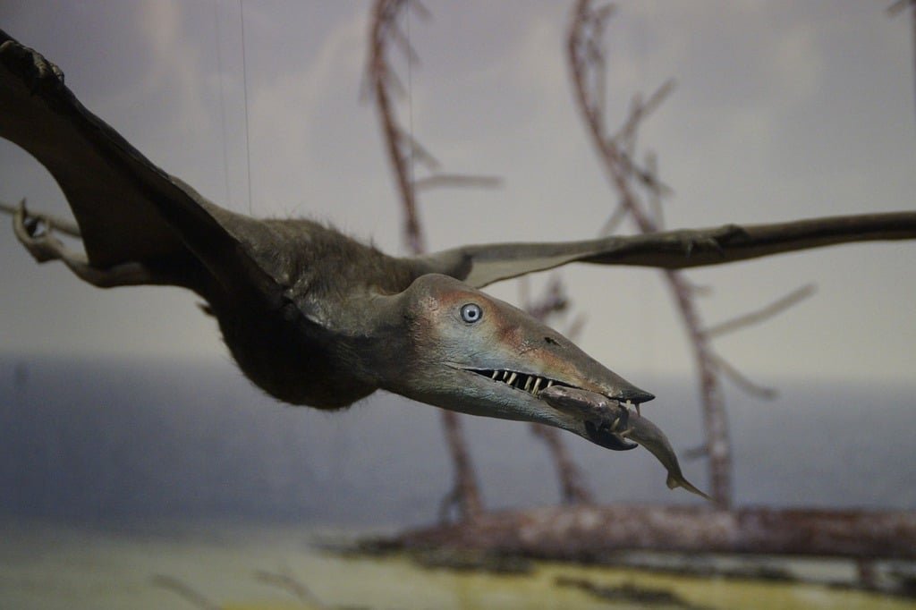 Pterodactilo