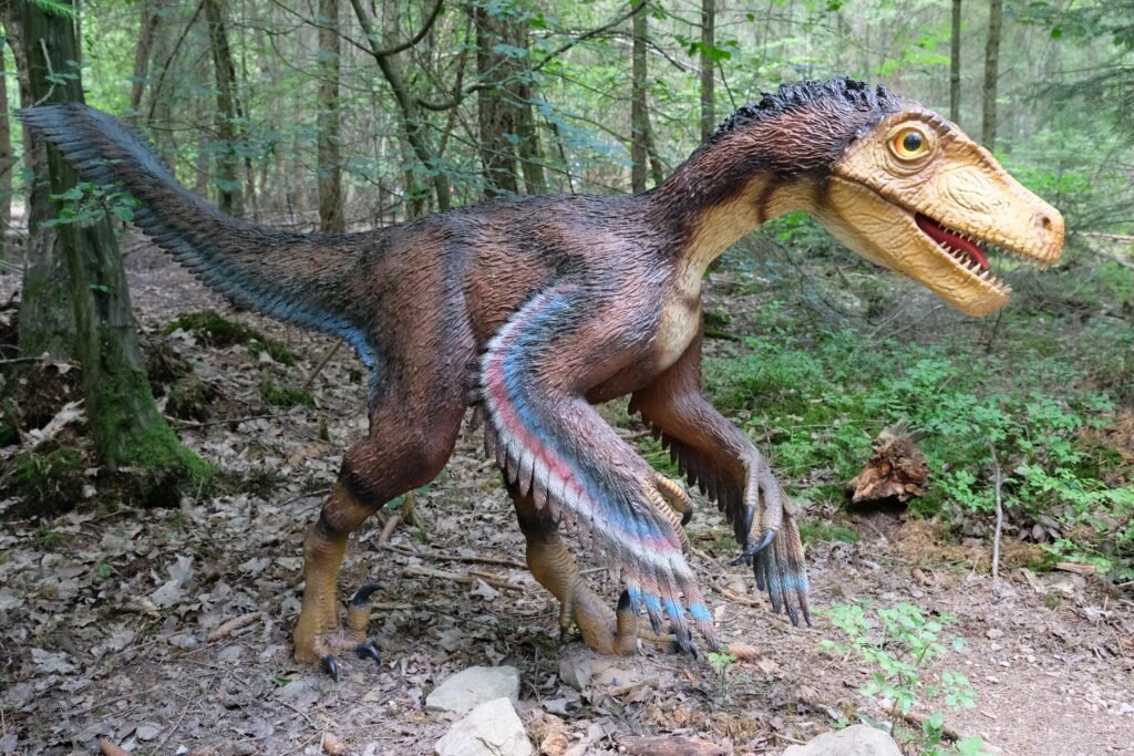 Velociraptors
